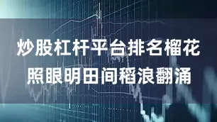 炒股杠杆平台排名榴花照眼明田间稻浪翻涌