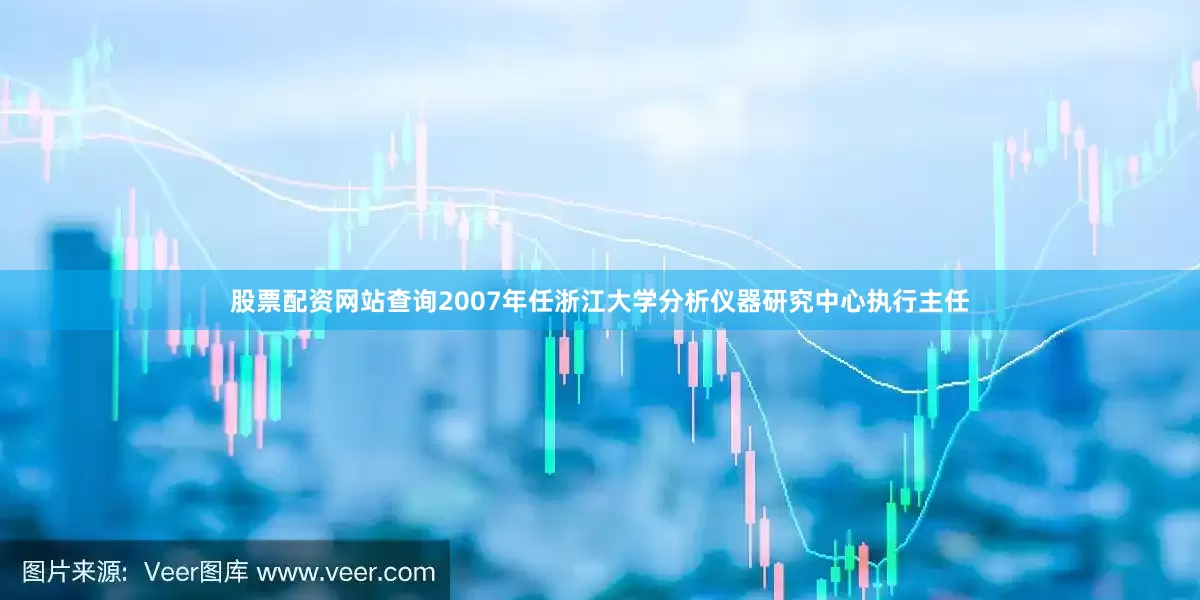 股票配资网站查询2007年任浙江大学分析仪器研究中心执行主任