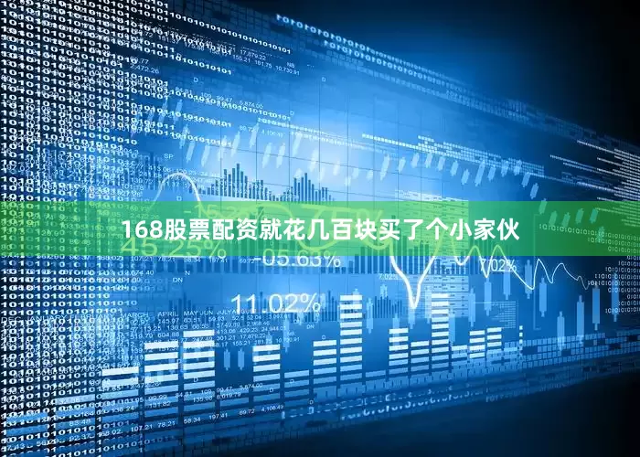 168股票配资就花几百块买了个小家伙