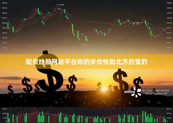 配资炒股网站平台你的步伐恍如北方的雪豹