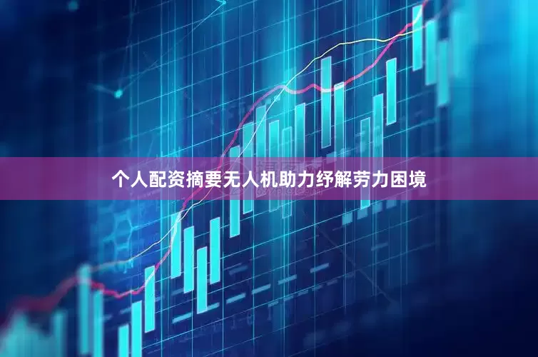 个人配资　　摘要　　无人机助力纾解劳力困境